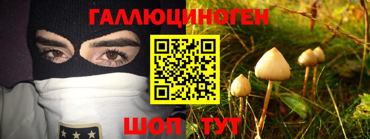 Псилоцибиновые грибы прущие грибы Кирово-Чепецк