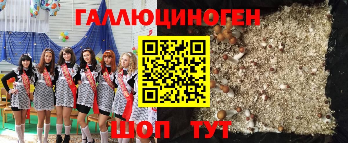 Кирово-Чепецк  Галлюциногенные грибы Magic Shrooms  Вход с VPN 
